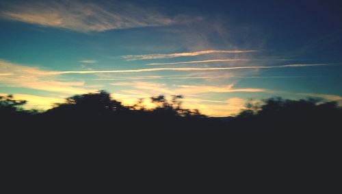 Silhouette of trees at sunset