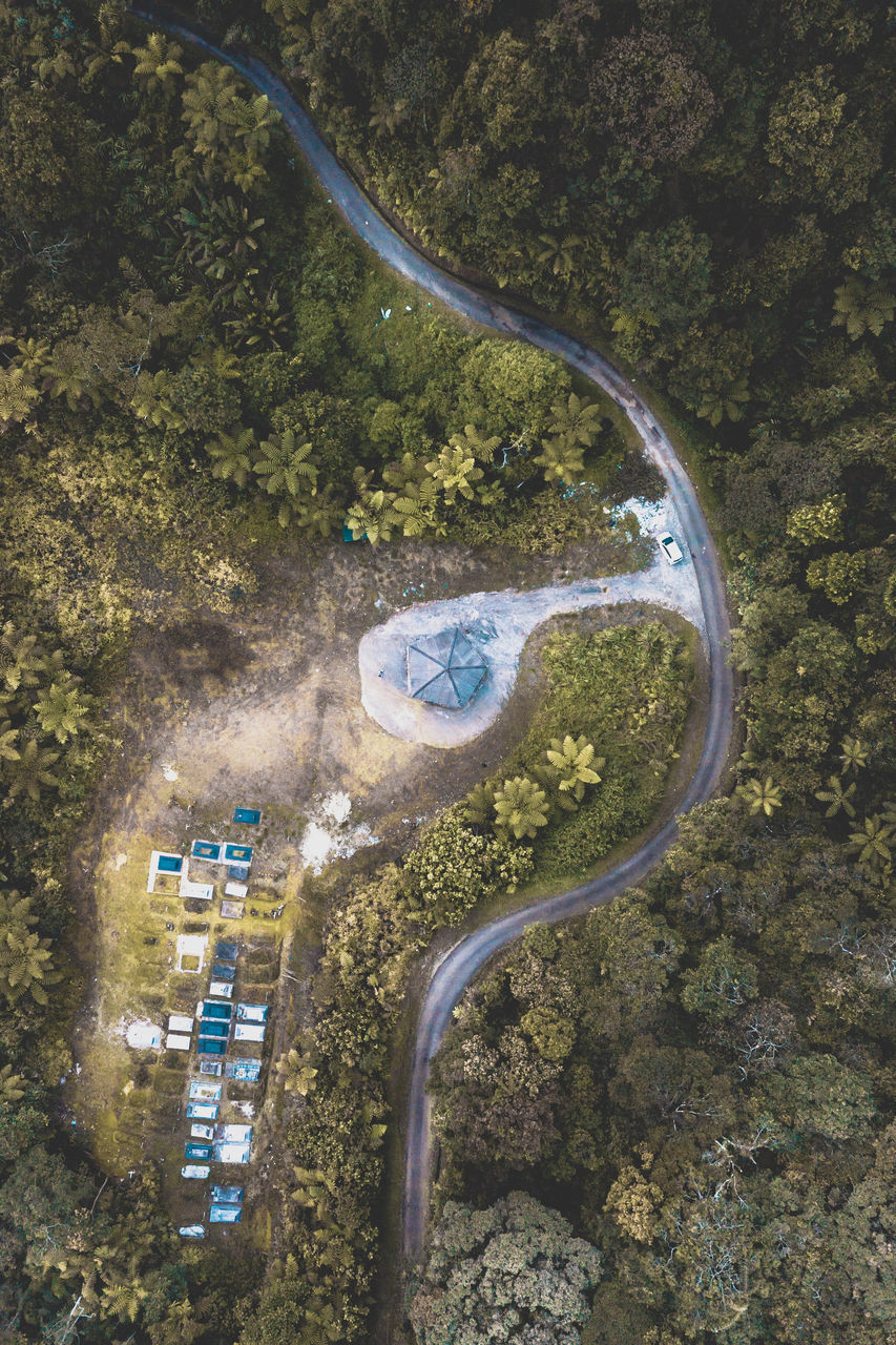 HIGH ANGLE VIEW OF ROAD AMIDST TREES