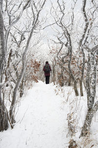 Rear view of person standing on snow covered landscape