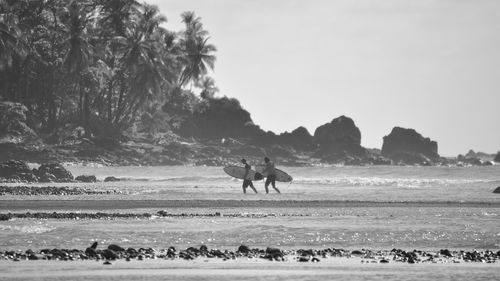 Horse riding horses on beach against sky