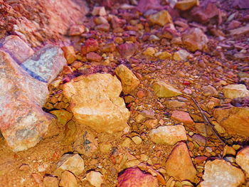 High angle view of multi colored stones on rock