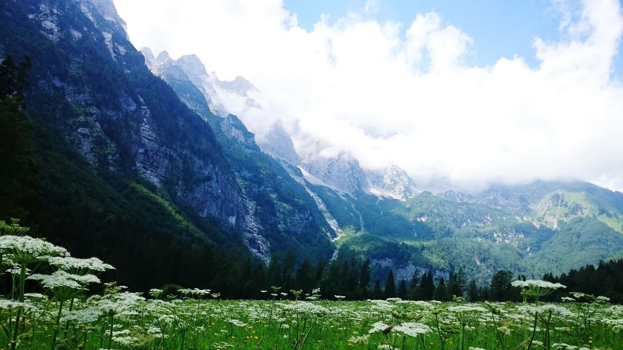 SCENIC VIEW OF LANDSCAPE AND MOUNTAINS AGAINST SKY