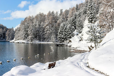 Snow covered trees by lake against sky