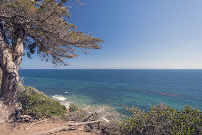 Pacific ocean from a coastal cliff on the douglas family preserve in santa barbara, california