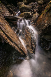 Scenic view of waterfall in forest