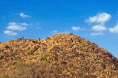 Low angle view of mountain against blue sky