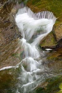 Close-up of waterfall in forest