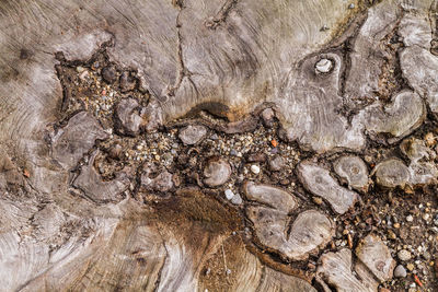 Full frame shot of textured surface