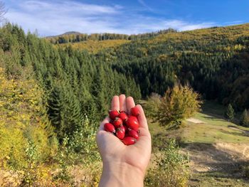 Cropped image of person holding red fruit on land