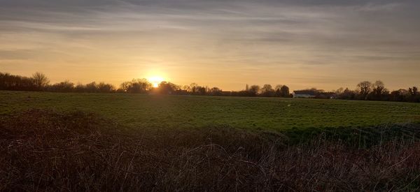 Scenic view of field against sky during sunset