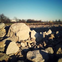 Close-up of rocks on shore