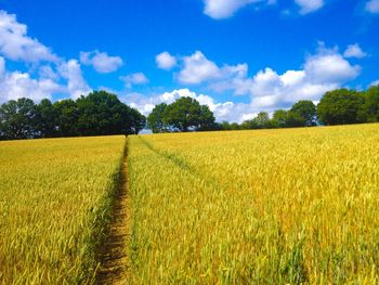 Scenic view of field against cloudy sky