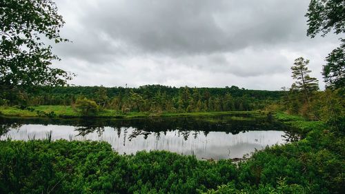 Scenic view of lake in forest against sky