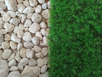 High angle view of pebbles on ground