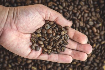 Close-up of hand holding coffee beans