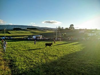 Scenic view of grassy field against cloudy sky