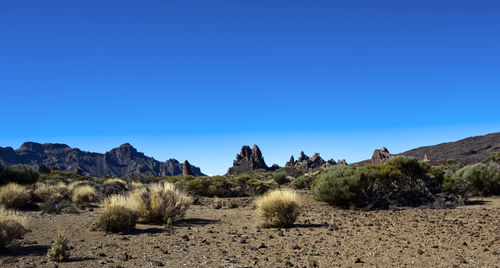 Scenic view of desert against clear blue sky