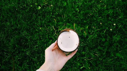 Cropped image of man holding grass on grassy field