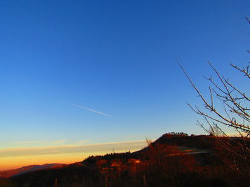 Silhouette plants against clear sky during sunset