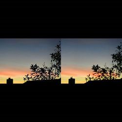 Low angle view of silhouette trees against sky at sunset