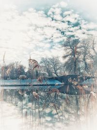 Bare tree by lake against sky