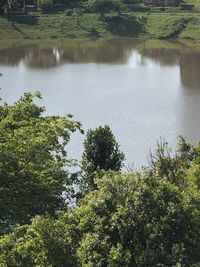 Scenic view of lake amidst trees in forest