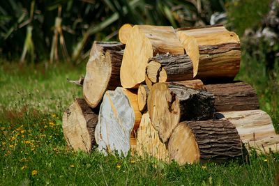 Stack of logs on field