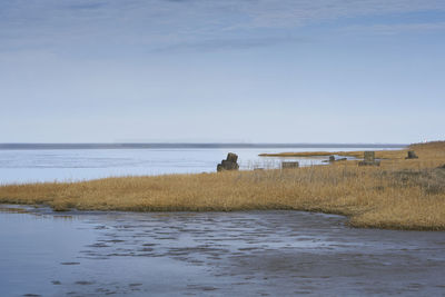 Rear view of man on beach against sky