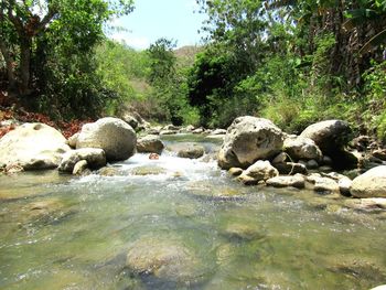 Stream flowing through rocks