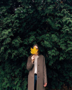 Person standing by yellow flowering plants