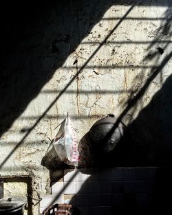 Shadow of window on wall