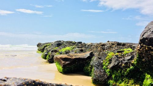 Scenic view of beach against sky
