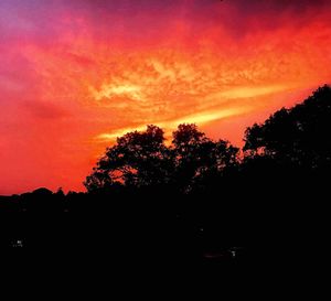 Silhouette trees against dramatic sky at sunset