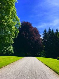 Road amidst trees against sky