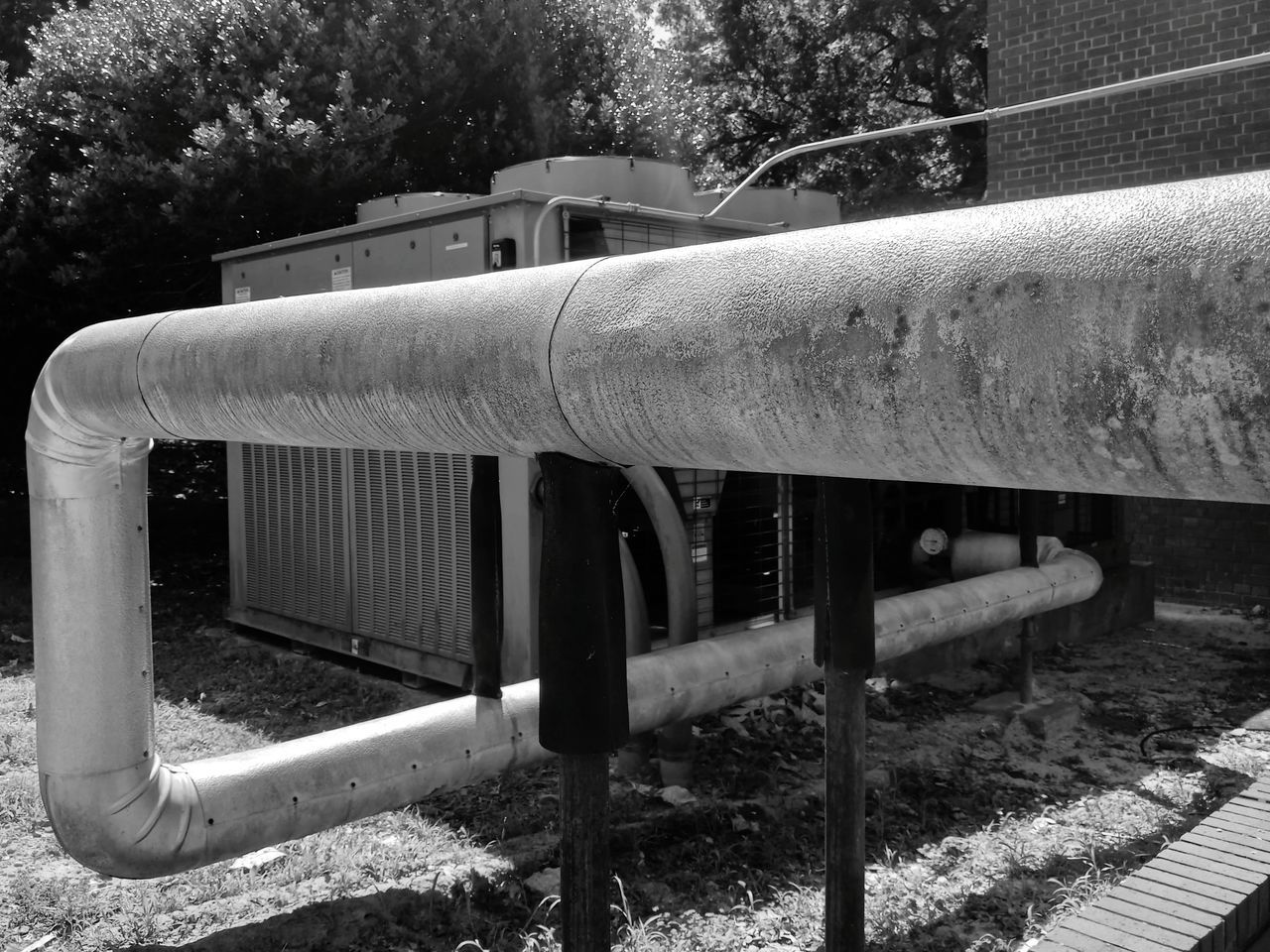 black and white, metal, day, nature, plant, monochrome photography, no people, tree, pipeline transport, monochrome, outdoors, transport, architecture, park, playground, vehicle, pipe - tube, iron, park - man made space