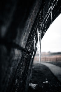 Close-up of frozen water on wood