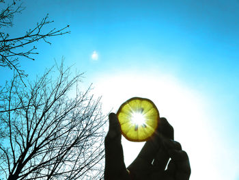 Cropped hand holding lemon with sunlight streaming through its slice