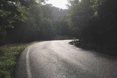 Road along trees