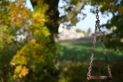 Low angle view of swing hanging in park