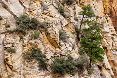 Rock formations on rock