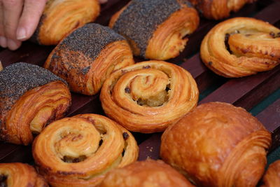 Close-up of pumpkins on display at store