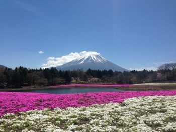 Scenic view of snow covered land and mountains against sky