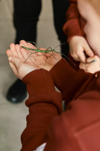 Children allowed to hold stick insect in hands. unusual pets. to overcome fear