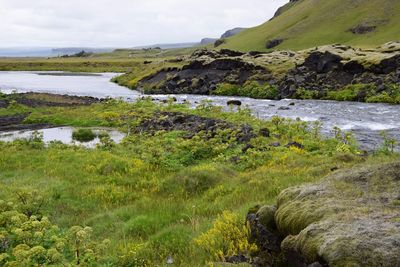 Scenic view of river against sky