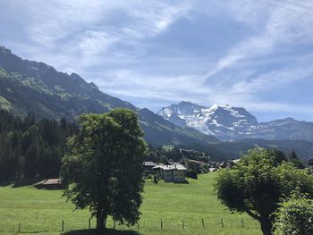 Trees and houses by mountains against sky