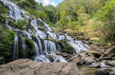 Scenic view of waterfall in forest