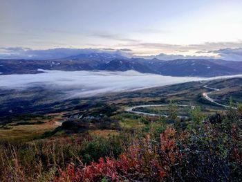 Scenic view of landscape against sky