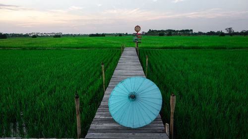 Umbrella on footpath amidst field against sky