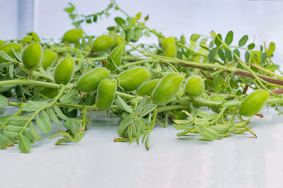 Close-up of vegetables on table