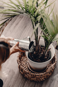 Woman holding potted plant on table